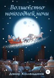 бесплатно читать книгу Волшебство новогодней ночи автора Дамир Жаллельдинов