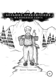 бесплатно читать книгу Большие приключения маленького сорга автора Арина Смирнова