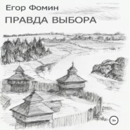 бесплатно читать книгу Правда выбора автора Егор Фомин