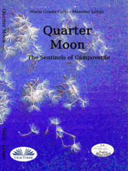 бесплатно читать книгу Quarter Moon автора Massimo Longo