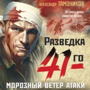 бесплатно читать книгу Морозный ветер атаки автора Александр Тамоников