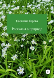 бесплатно читать книгу Рассказы о природе автора Светлана Горева