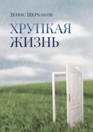 бесплатно читать книгу Хрупкая жизнь автора Денис Щербаков