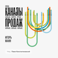 бесплатно читать книгу Каналы продаж автора Игорь Манн