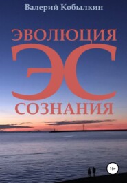 бесплатно читать книгу Эволюция Сознания автора Валерий Кобылкин