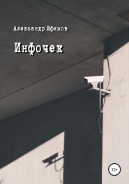бесплатно читать книгу Инфочек автора Александр Ефимов
