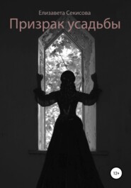 бесплатно читать книгу Призрак усадьбы автора Елизавета Секисова