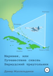 бесплатно читать книгу Маринея, или Путешествие сквозь Бермудский треугольник автора Дамир Жаллельдинов