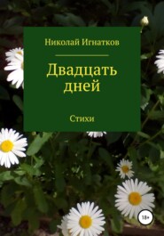 бесплатно читать книгу Двадцать дней автора Николай Игнатков