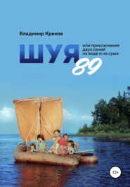 бесплатно читать книгу Шуя 89, или Приключения двух семей на воде и на суше автора Владимир Криков