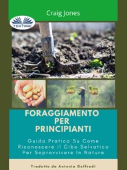 бесплатно читать книгу Foraggiamento Per Principianti автора Craig Jones