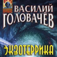 бесплатно читать книгу Экзотеррика автора Василий Головачев
