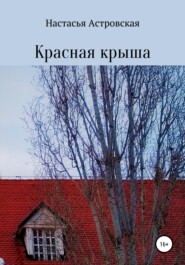 бесплатно читать книгу Красная крыша автора Настасья Астровская