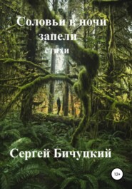 бесплатно читать книгу Соловьи в ночи запели автора Сергей Бичуцкий