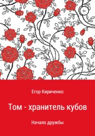 бесплатно читать книгу Том – хранитель кубов автора Егор Кириченко