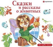 бесплатно читать книгу Сказки и рассказы о животных автора Юрий Коваль