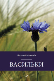 бесплатно читать книгу Васильки автора Василий Мишенёв