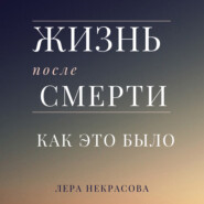 бесплатно читать книгу Жизнь после смерти: как это было автора Лера Некрасова