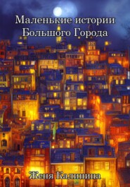 бесплатно читать книгу Маленькие истории Большого Города автора Женя Калинина