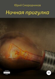 бесплатно читать книгу Ночная прогулка автора Юрий Смородников