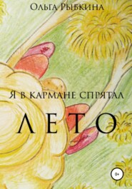 бесплатно читать книгу Я в кармане спрятал лето автора Ольга Рыбкина