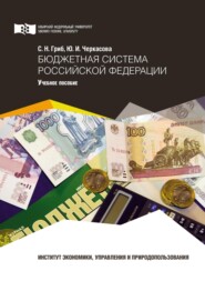 бесплатно читать книгу Бюджетная система Российской Федерации автора Юлия Черкасова