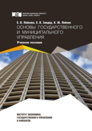 бесплатно читать книгу Основы государственного и муниципального управления автора Евгения Зандер