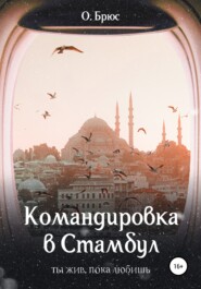 бесплатно читать книгу Командировка в Стамбул автора О. Брюс