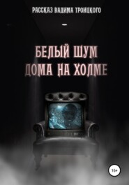 бесплатно читать книгу Белый шум дома на холме автора Вадим Троицкий