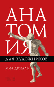 бесплатно читать книгу Анатомия для художников автора 