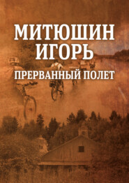 бесплатно читать книгу Митюшин Игорь: прерванный полет автора Ирина Римская