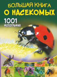 бесплатно читать книгу Большая книга о насекомых. 1001 фотография автора Анна Спектор
