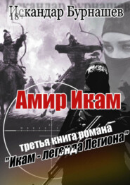 бесплатно читать книгу Амир Икам. Третья книга романа «Икам – легенда легиона» автора Искандар Бурнашев