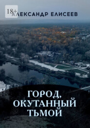 бесплатно читать книгу Город, окутанный тьмой автора Александр Елисеев
