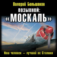 бесплатно читать книгу Позывной: «Москаль». Наш человек – лучший ас Сталина автора Валерий Большаков