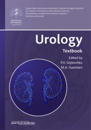 бесплатно читать книгу Urology автора  Коллектив авторов