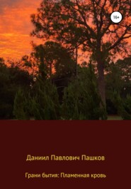 бесплатно читать книгу Грани бытия: Пламенная кровь автора Даниил Пашков