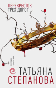 бесплатно читать книгу Перекресток трех дорог автора Татьяна Степанова