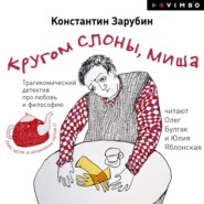 бесплатно читать книгу Кругом слоны, Миша автора Константин Зарубин