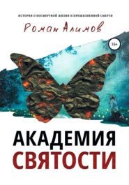 бесплатно читать книгу Академия святости автора Роман Алимов