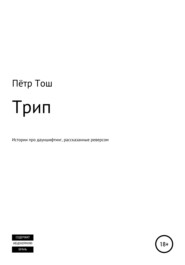 бесплатно читать книгу Трип. Истории про дауншифтинг, рассказанные реверсом автора  Пётр Тош