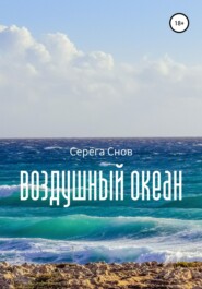 бесплатно читать книгу Воздушный океан автора Серёга Снов