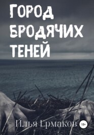 бесплатно читать книгу Город бродячих теней автора Илья Ермаков