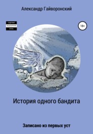 бесплатно читать книгу История одного бандита автора Александр Гайворонский