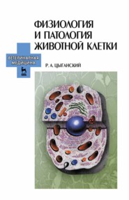 бесплатно читать книгу Физиология и патология животной клетки автора Р. Цыганский