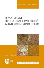 бесплатно читать книгу Практикум по патологической анатомии животных автора В. Салимов