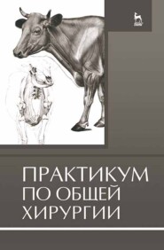 бесплатно читать книгу Практикум по общей хирургии автора О. Суховольский