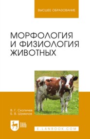 бесплатно читать книгу Морфология и физиология животных автора В. Шумилов