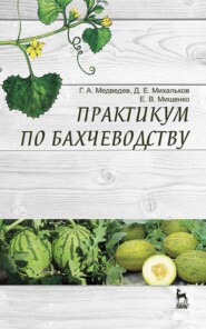 бесплатно читать книгу Практикум по бахчеводству автора Е. Мищенко