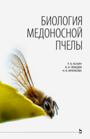 бесплатно читать книгу Биология медоносной пчелы автора Н. Иренкова
